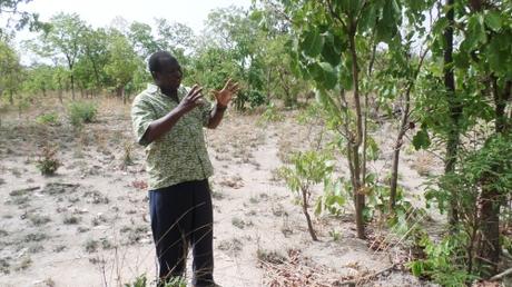 Pour le Pr Adjima Thiombiano de l'Université de Ouagadougou ce ranch occupe une place stratégique dans la conservation de la biodiversité..JPG