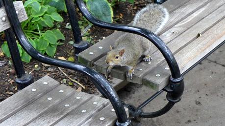 Road trip aux USA - Day #4 - Un bain et des douches P1100402