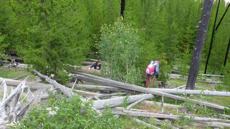 Road trip aux USA - Day #7 - Le Grand Prismatique et le Vieux Fidèle P1100791