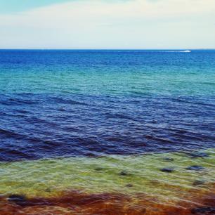 La plage Oak Bluffs Town Inkwell Beach sur l’île de Martha’s Vineyard