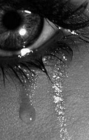 Mon avis sur Maman Avant Tout de Lilie Desseaux Mon avis sur Maman Avant Tout de Lilie Desseaux