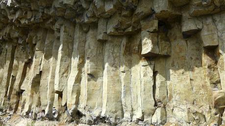 Road trip aux USA - Day #8 - Un canyon et des bisons P1110035