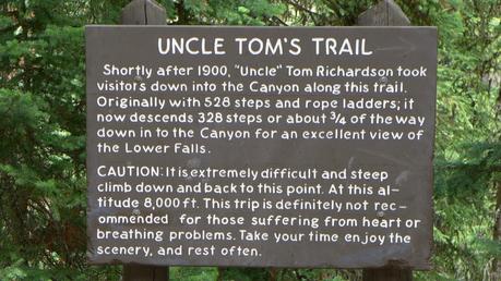 Road trip aux USA - Day #8 - Un canyon et des bisons P1110044