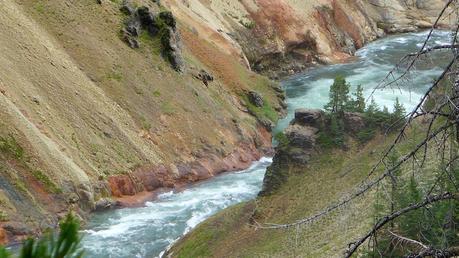 Road trip aux USA - Day #8 - Un canyon et des bisons P1110067