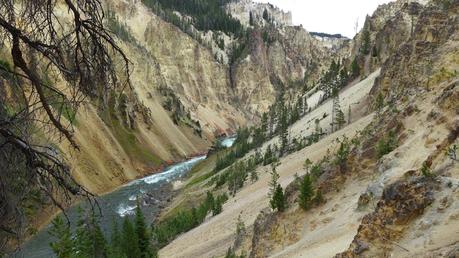 Road trip aux USA - Day #8 - Un canyon et des bisons P1110057