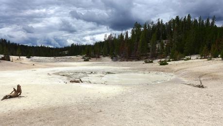 Road trip aux USA - Day #8 - Un canyon et des bisons P1110157