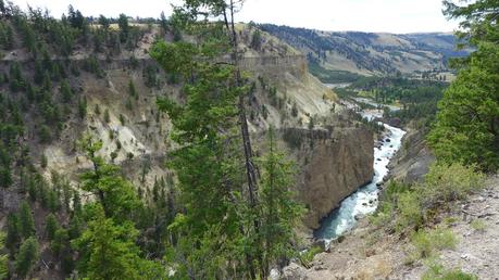 Road trip aux USA - Day #8 - Un canyon et des bisons P1110025