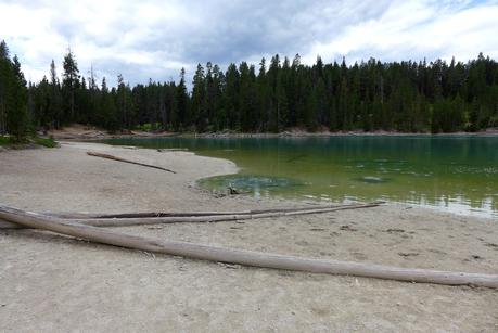 Road trip aux USA - Day #8 - Un canyon et des bisons P1110161