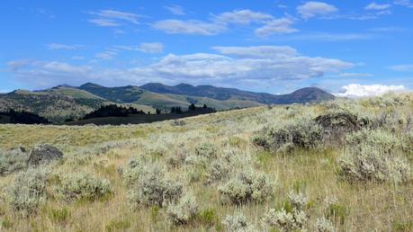 Road trip aux USA - Day #8 - Un canyon et des bisons P1110208