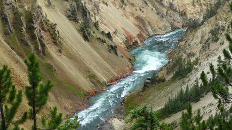 Road trip aux USA - Day #8 - Un canyon et des bisons P1110077