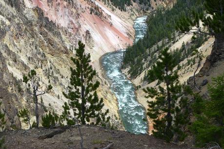 Road trip aux USA - Day #8 - Un canyon et des bisons P1110144