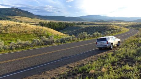 Road trip aux USA - Day #8 - Un canyon et des bisons P1110303