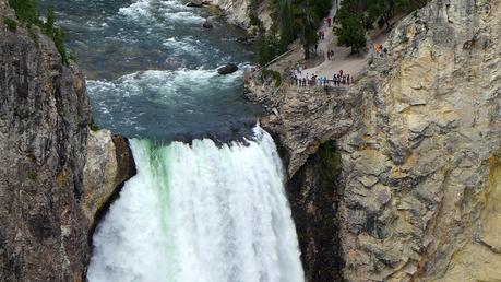Road trip aux USA - Day #8 - Un canyon et des bisons P1110084