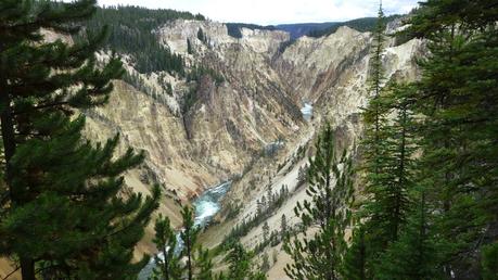 Road trip aux USA - Day #8 - Un canyon et des bisons P1110075