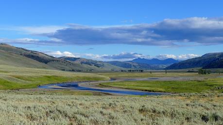 Road trip aux USA - Day #8 - Un canyon et des bisons P1110227