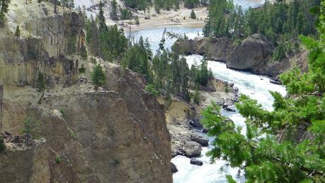 Road trip aux USA - Day #8 - Un canyon et des bisons P1110034