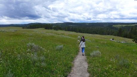 Road trip aux USA - Day #8 - Un canyon et des bisons P1110176