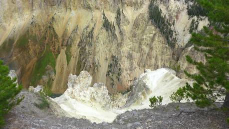 Road trip aux USA - Day #8 - Un canyon et des bisons P1110085