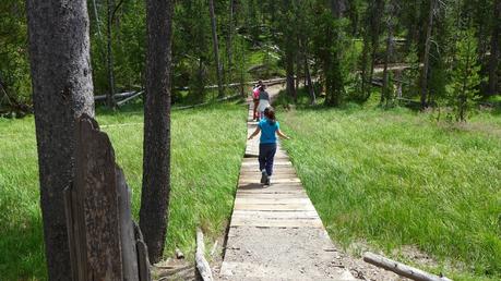 Road trip aux USA - Day #8 - Un canyon et des bisons P1110149