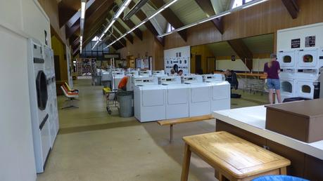 Road trip aux USA - Day #8 - Un canyon et des bisons P1110178