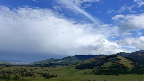 Road trip aux USA - Day #8 - Un canyon et des bisons P1110184