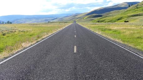 Road trip aux USA - Day #8 - Un canyon et des bisons P1110242