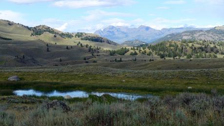 Road trip aux USA - Day #8 - Un canyon et des bisons P1110189