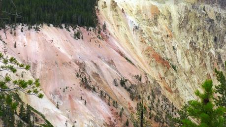 Road trip aux USA - Day #8 - Un canyon et des bisons P1110105