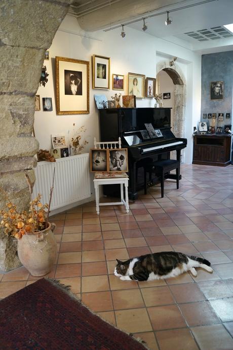 Louise Glacier Isle sur la Sorgue DSC09674