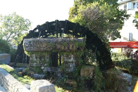 Louise Glacier Isle sur la Sorgue DSC09695