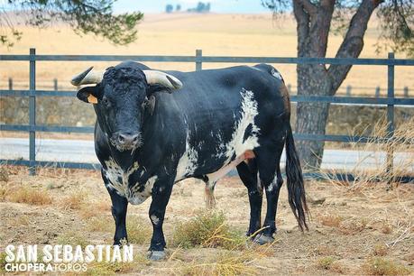 LOPEZ SIMON A SAINT SEBASTIEN SS_Torrestrella-web-3