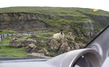 Road trip en Ecosse, étape 4 bis : L'île de Skye (2ème partie)