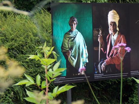 mise en bouche mise en bouche