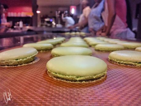 wp-1438076868684 image