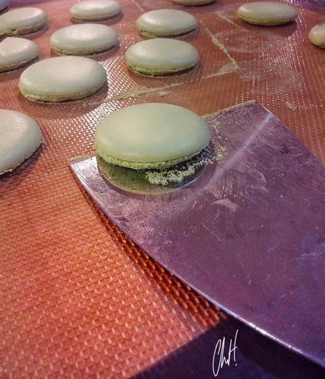 wp-1438076885863 image