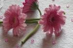 TAMPARI table fete des meres + recette + fleurs 003