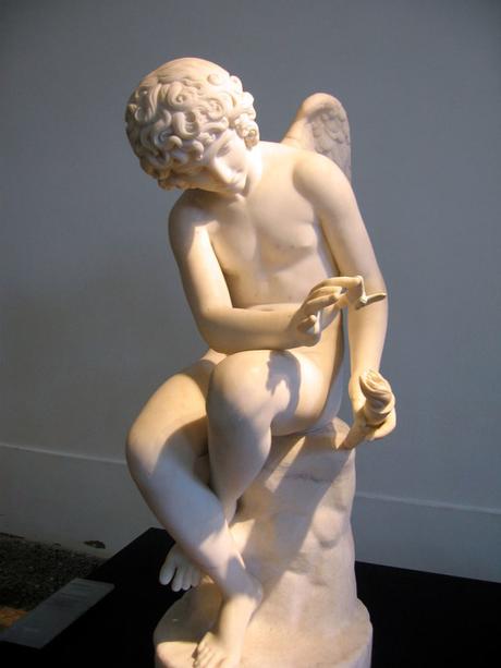 - Le crâne et le papillon Dumont-Amour-amiens
