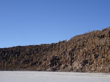 Virée dans le Sur Lipez et Uyuni : top 10 des plus belles photos de la journée 4. DSC01311