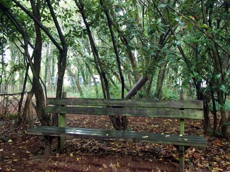 ouvrez le banc ouvrez le banc