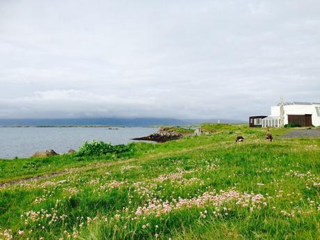 Carnet de voyage : l’Islande en été Carnet de voyage : l’Islande en été
