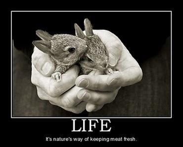 Cantines et religion : j’ai la soluce ! life : nature's way to keep meat fresh