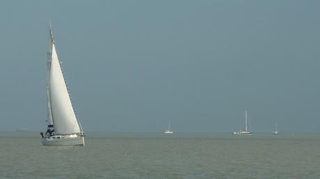 Au fil de l’eau, des Pertuis charentais à l’île d’Yeu