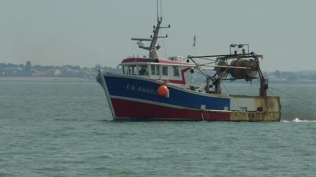 Au fil de l’eau, des Pertuis charentais à l’île d’Yeu