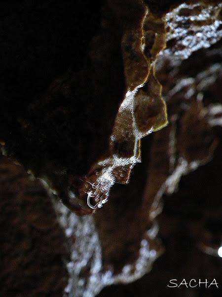 Flûtines chorizo clichés diaporama balade grotte Clamouse Guilhem-le-Désert