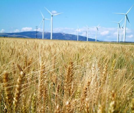 L'énergie éolienne en croissance dans le monde. Les politiques la propulsent en Chine, aux États-Unis et en Allemagne Wind farm USA