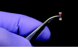 CANCER: Le micro-biocapteur qui surveille la tumeur – Lab on a Chip