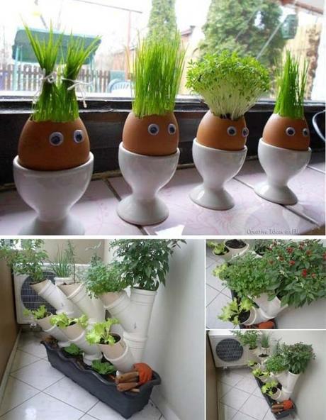 23 façons intelligentes d'avoir votre propre jardin intérieur avec ... Créatif Jardin Recup