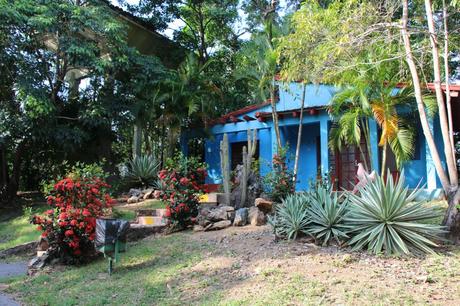 Apprendre la salsa à Cuba avec l’UCPA Cuba36_UCPA_Guajimico