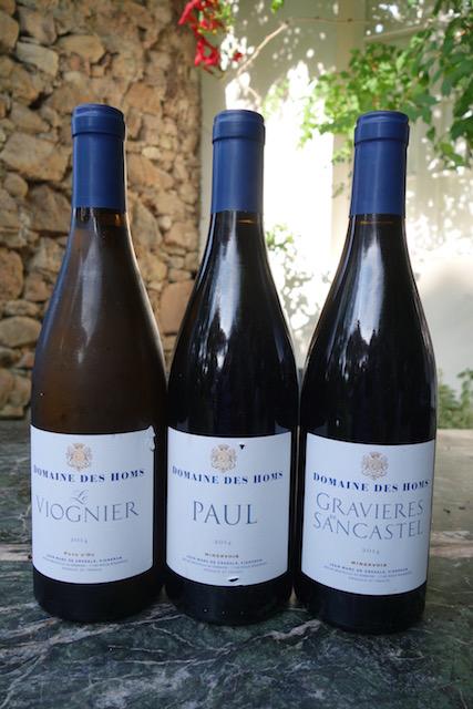 De Montolieu à Tenuta San Leonardo jpou