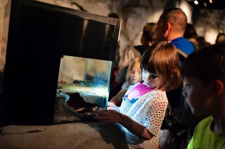 Besoin d’évasion, retour dans le Nord Pas de Calais. Visite du Nausicaa de Boulogne sur Mer